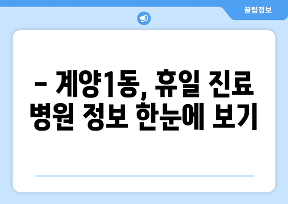 인천시 계양구 계양1동 일요일 휴일 공휴일 야간 진료병원 리스트