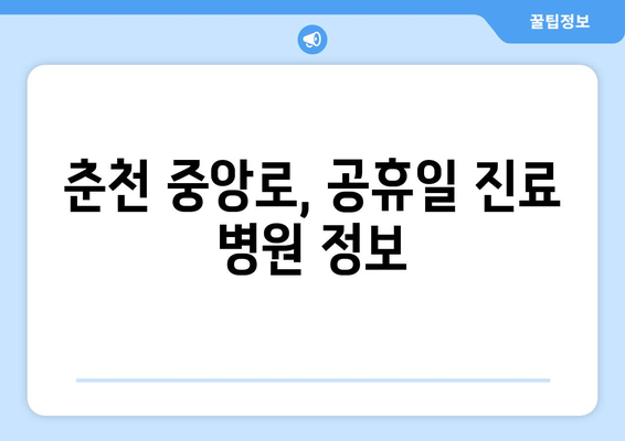 강원도 춘천시 중앙로 일요일 휴일 공휴일 야간 진료병원 리스트