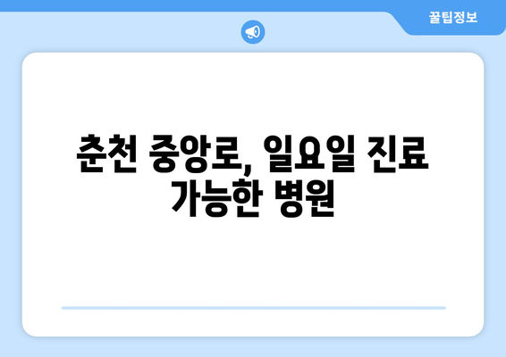 강원도 춘천시 중앙로 일요일 휴일 공휴일 야간 진료병원 리스트