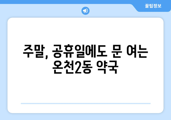 대전시 유성구 온천2동 24시간 토요일 일요일 휴일 공휴일 야간 약국