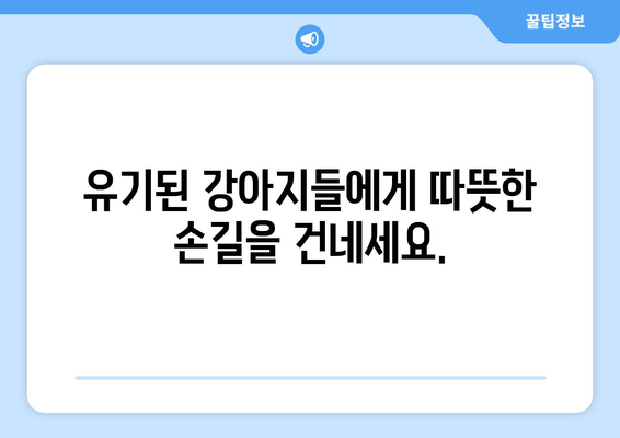 강아지 유기, 잔혹한 현실과 우리의 책임| 더 나은 동물 복지 사회를 향하여 | 유기 동물, 동물 학대, 책임감, 입양