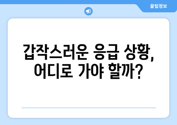 경기도 의정부시 호원1동 일요일 휴일 공휴일 야간 진료병원 리스트