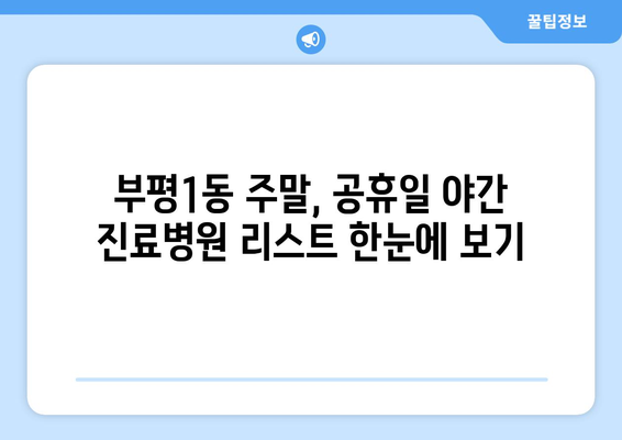 인천시 부평구 부평1동 일요일 휴일 공휴일 야간 진료병원 리스트