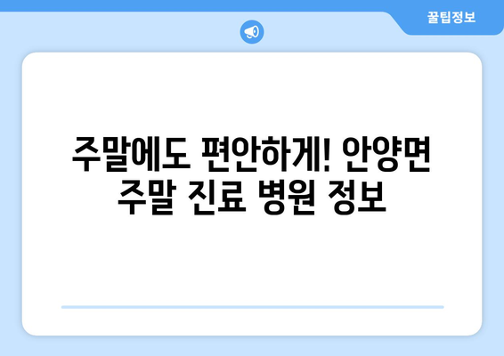 전라남도 장흥군 안양면 일요일 휴일 공휴일 야간 진료병원 리스트