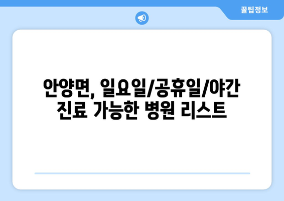 전라남도 장흥군 안양면 일요일 휴일 공휴일 야간 진료병원 리스트