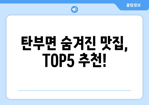 충청북도 보은군 탄부면 점심 맛집 추천 한식 중식 양식 일식 TOP5