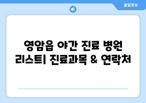 전라남도 영암군 영암읍 일요일 휴일 공휴일 야간 진료병원 리스트