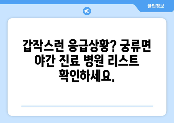 경상남도 의령군 궁류면 일요일 휴일 공휴일 야간 진료병원 리스트