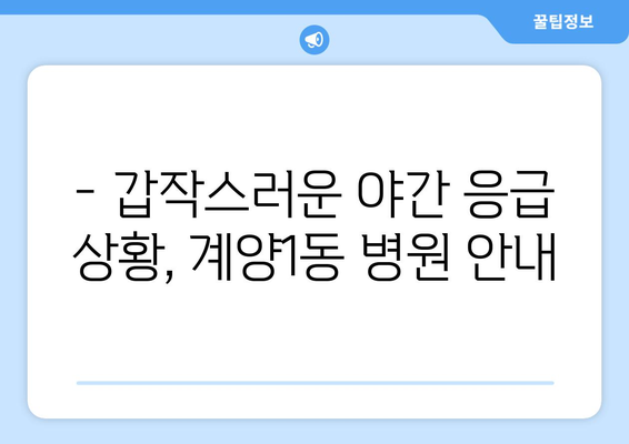 인천시 계양구 계양1동 일요일 휴일 공휴일 야간 진료병원 리스트