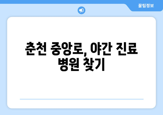 강원도 춘천시 중앙로 일요일 휴일 공휴일 야간 진료병원 리스트