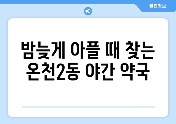 대전시 유성구 온천2동 24시간 토요일 일요일 휴일 공휴일 야간 약국