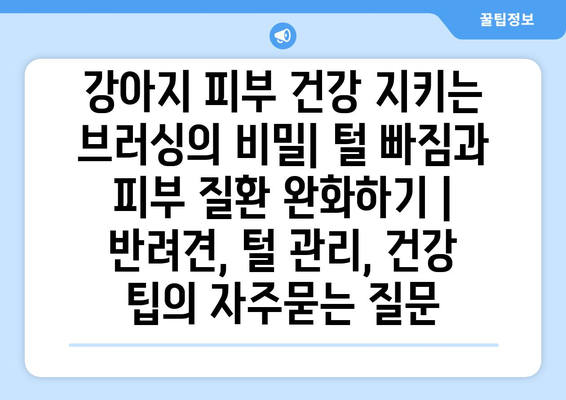 강아지 피부 건강 지키는 브러싱의 비밀| 털 빠짐과 피부 질환 완화하기 | 반려견, 털 관리, 건강 팁