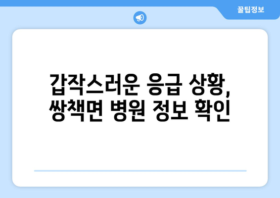 경상남도 합천군 쌍책면 일요일 휴일 공휴일 야간 진료병원 리스트