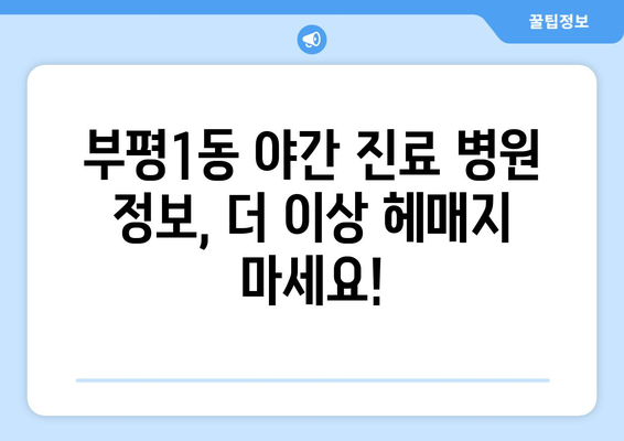 인천시 부평구 부평1동 일요일 휴일 공휴일 야간 진료병원 리스트