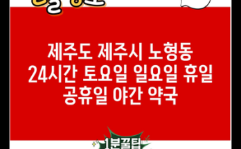 제주도 제주시 노형동 24시간 토요일 일요일 휴일 공휴일 야간 약국