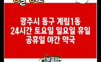 광주시 동구 계림1동 24시간 토요일 일요일 휴일 공휴일 야간 약국