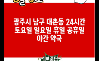 광주시 남구 대촌동 24시간 토요일 일요일 휴일 공휴일 야간 약국