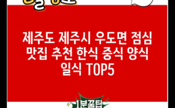 제주도 제주시 우도면 점심 맛집 추천 한식 중식 양식 일식 TOP5