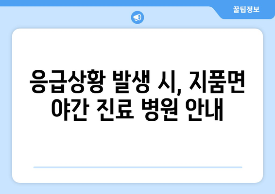 경상북도 영덕군 지품면 일요일 휴일 공휴일 야간 진료병원 리스트