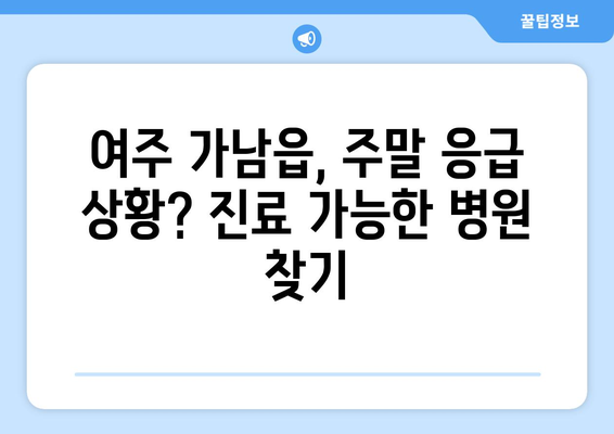 경기도 여주시 가남읍 일요일 휴일 공휴일 야간 진료병원 리스트