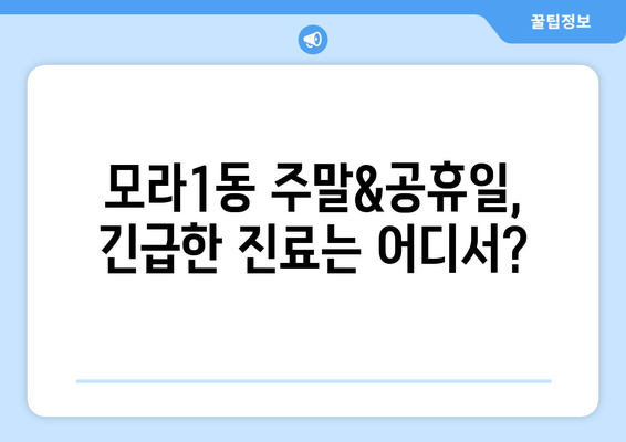 부산시 사상구 모라1동 일요일 휴일 공휴일 야간 진료병원 리스트