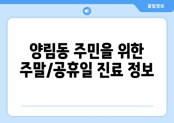 광주시 남구 양림동 일요일 휴일 공휴일 야간 진료병원 리스트