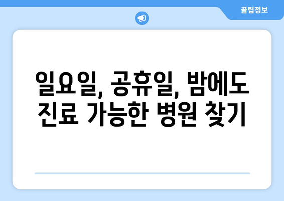 서울시 강동구 천호제3동 일요일 휴일 공휴일 야간 진료병원 리스트