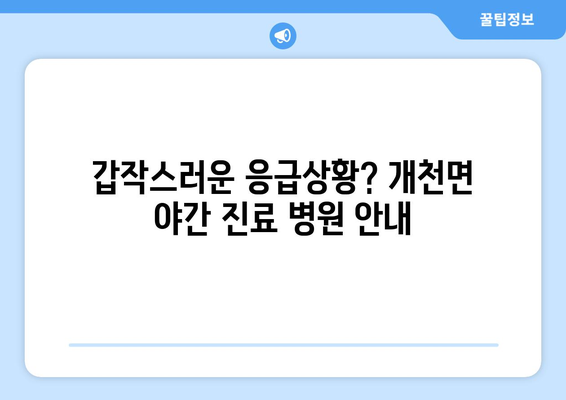 경상남도 고성군 개천면 일요일 휴일 공휴일 야간 진료병원 리스트