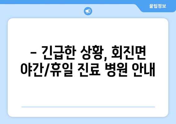 전라남도 장흥군 회진면 일요일 휴일 공휴일 야간 진료병원 리스트