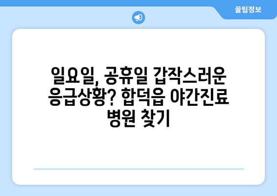 충청남도 당진시 합덕읍 일요일 휴일 공휴일 야간 진료병원 리스트