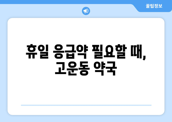 세종시 세종특별자치시 고운동 24시간 토요일 일요일 휴일 공휴일 야간 약국