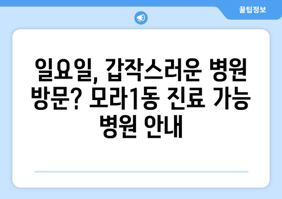 부산시 사상구 모라1동 일요일 휴일 공휴일 야간 진료병원 리스트