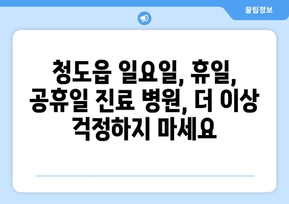 경상북도 청도군 청도읍 일요일 휴일 공휴일 야간 진료병원 리스트