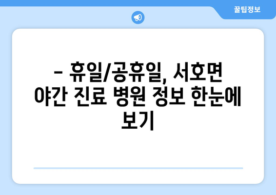 전라남도 영암군 서호면 일요일 휴일 공휴일 야간 진료병원 리스트