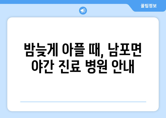 충청남도 보령시 남포면 일요일 휴일 공휴일 야간 진료병원 리스트