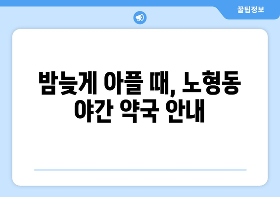 제주도 제주시 노형동 24시간 토요일 일요일 휴일 공휴일 야간 약국