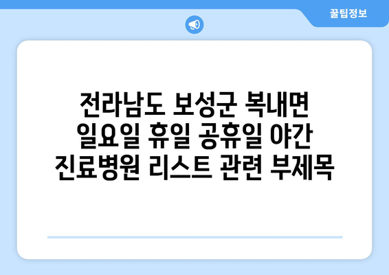 전라남도 보성군 복내면 일요일 휴일 공휴일 야간 진료병원 리스트