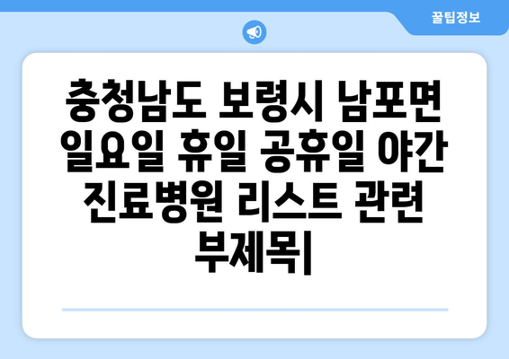 충청남도 보령시 남포면 일요일 휴일 공휴일 야간 진료병원 리스트