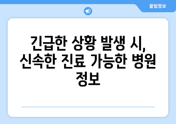 전라남도 무안군 현경면 일요일 휴일 공휴일 야간 진료병원 리스트