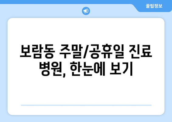 세종시 세종특별자치시 보람동 일요일 휴일 공휴일 야간 진료병원 리스트