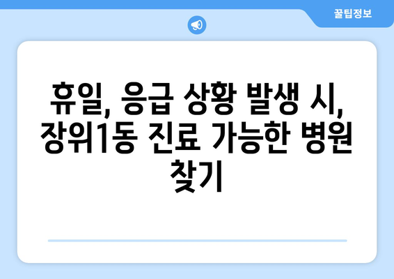 서울시 성북구 장위1동 일요일 휴일 공휴일 야간 진료병원 리스트