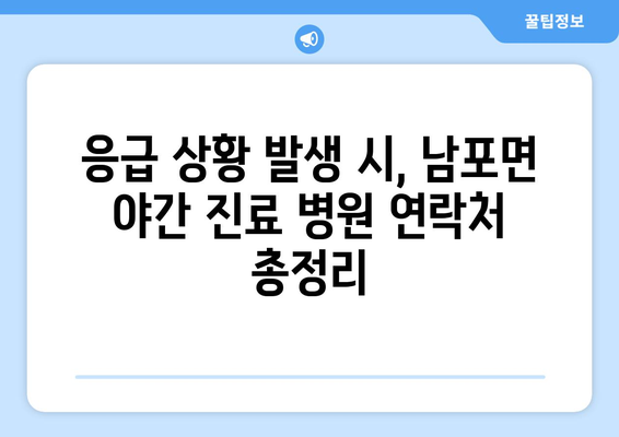 충청남도 보령시 남포면 일요일 휴일 공휴일 야간 진료병원 리스트