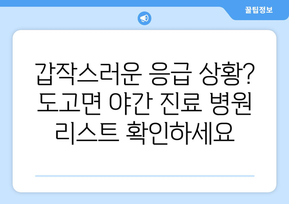 충청남도 아산시 도고면 일요일 휴일 공휴일 야간 진료병원 리스트