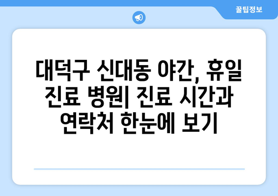 대전시 대덕구 신대동 일요일 휴일 공휴일 야간 진료병원 리스트