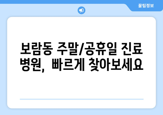 세종시 세종특별자치시 보람동 일요일 휴일 공휴일 야간 진료병원 리스트