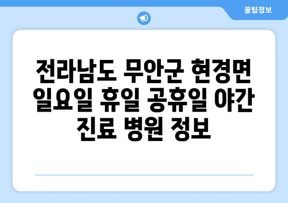 전라남도 무안군 현경면 일요일 휴일 공휴일 야간 진료병원 리스트