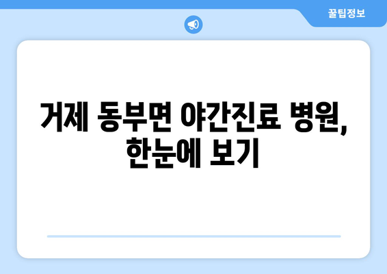 경상남도 거제시 동부면 일요일 휴일 공휴일 야간 진료병원 리스트