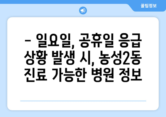 광주시 서구 농성2동 일요일 휴일 공휴일 야간 진료병원 리스트