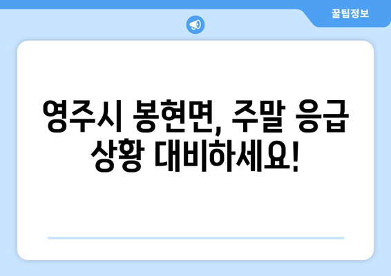 경상북도 영주시 봉현면 일요일 휴일 공휴일 야간 진료병원 리스트