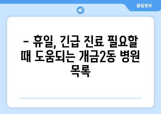 부산시 부산진구 개금2동 일요일 휴일 공휴일 야간 진료병원 리스트